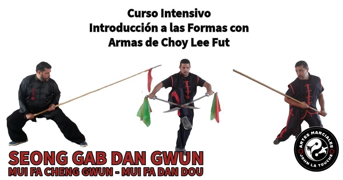 Introducción a las Formas de Armas - Palo y Sable de Nivel Primario 