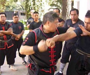 Sifu Lane Louie demostrando tecnica de Kan Na Sau en Seminario de Mexico 2010 Sifu Lane Louie demostrando tecnica de Kan Na Sau en Seminario de Mexico 2010